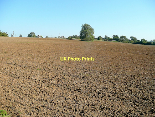 Photo 6"x4" Tortworth Green Charfield Hill c2011