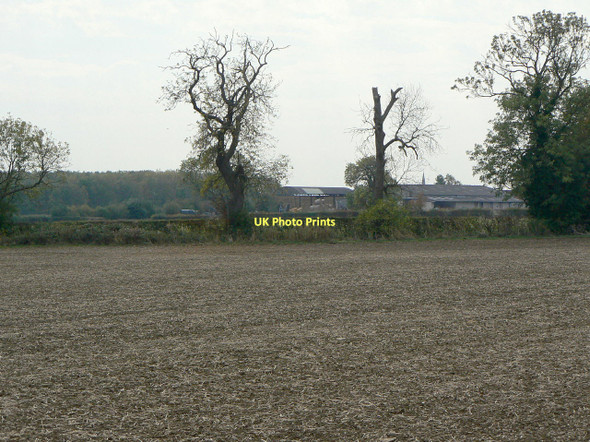 Photo 6"x4" View towards Edmondthorpe Lodge Colston Bassett c2011
