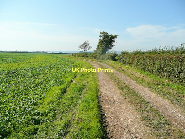 Photo 6"x4" Worldsend Lane Bevington c2011