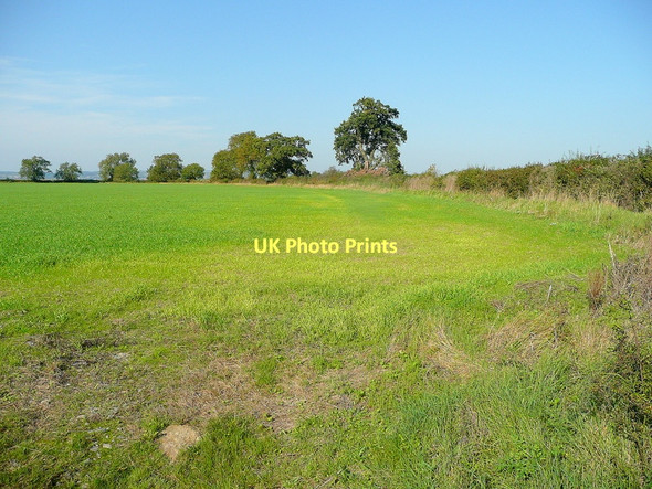 Photo 6"x4" Farmland north of Severn Lane Bevington c2011