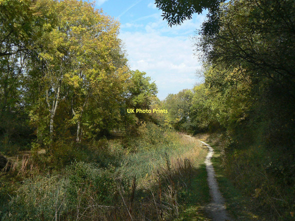 Photo 6"x4" Grantham Canal at Colston Bridge Cropwell Bishop c2011