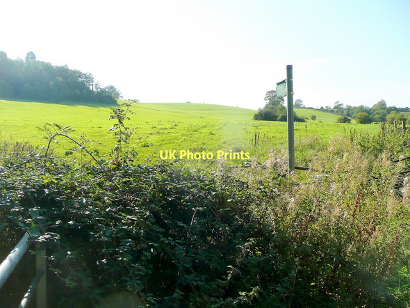 Photo 6"x4" Clapton Hill Hystfield c2011