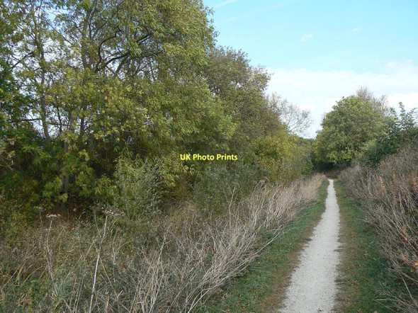 Photo 6"x4" Grantham Canal Cropwell Bishop c2011