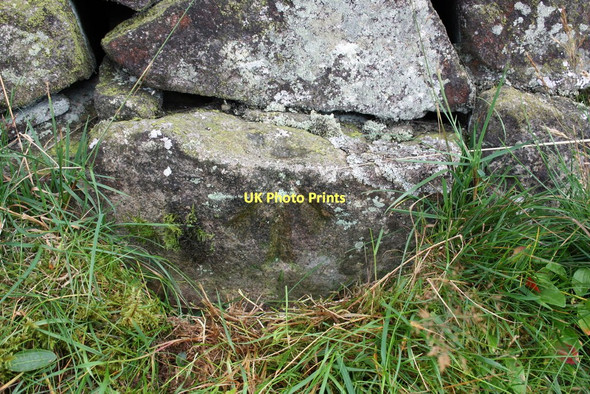 Photo 6"x4" Benchmark on stone in wall of Flint Lane West Witton c2011