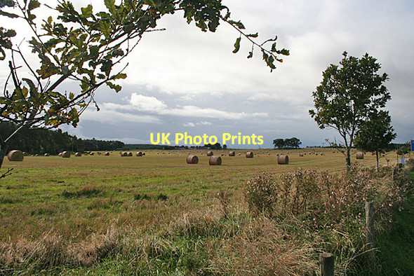 Photo 6"x4" Harvested Field Dyke\/NH9858 c2011