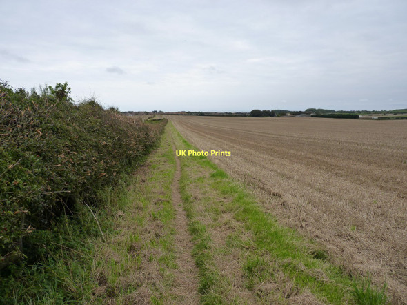 Photo 6"x4" The footpath back to Flamborough Flamborough c2011