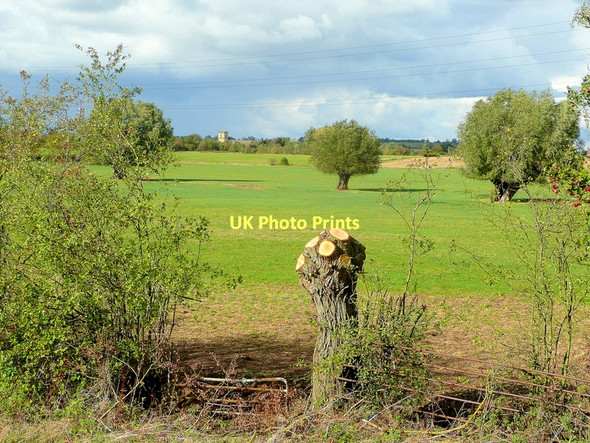Photo 6"x4" View across the floodplain Prior's Norton c2011