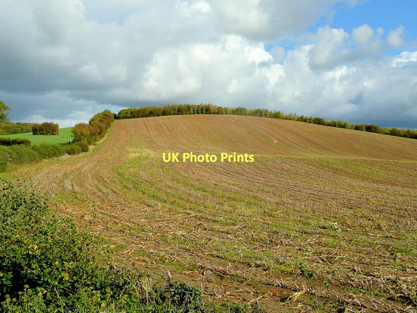 Photo 6"x4" Sandhurst Hill Bishop's Norton c2011