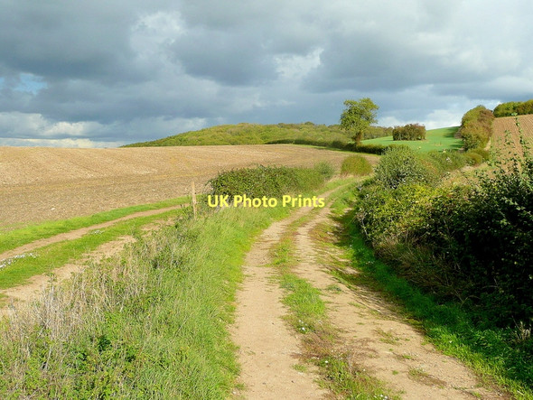 Photo 6"x4" Bridleway to Sandhurst Hill Bishop's Norton c2011