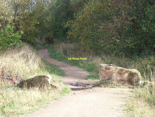 Photo 6"x4" Path, Fitzwilliam Country Park Hemsworth\/SE4213 c2011
