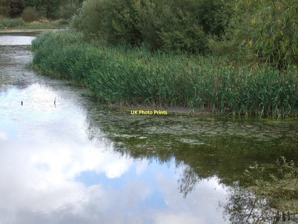 Photo 6"x4" Wintersett Reservoir Ryhill c2011