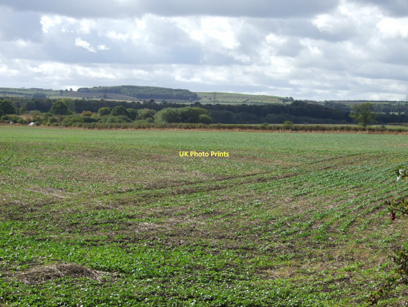 Photo 6"x4" Farmland off Haw Park Lane Notton\/SE3413 c2011