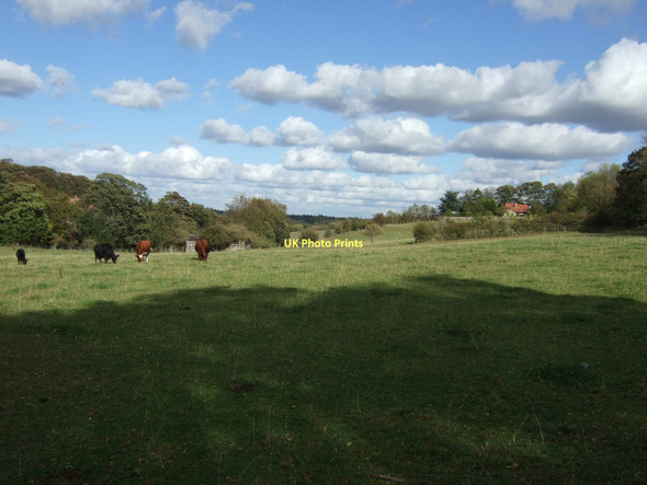 Photo 6"x4" Farmland, Chapelthorpe Newmillerdam c2011