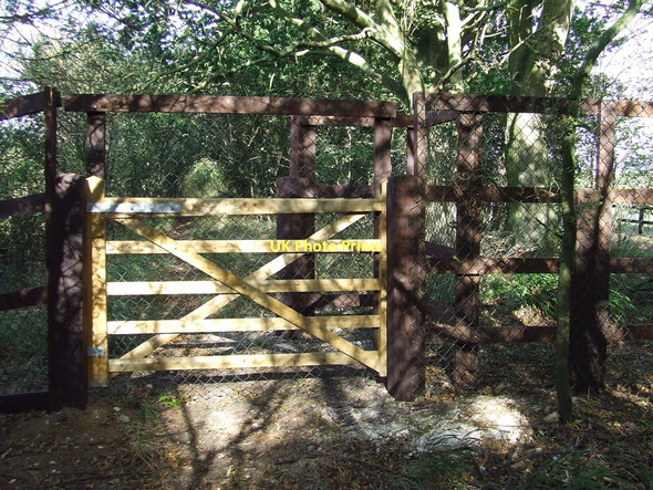 Photo 6"x4" New Gate Ditton Green c2011