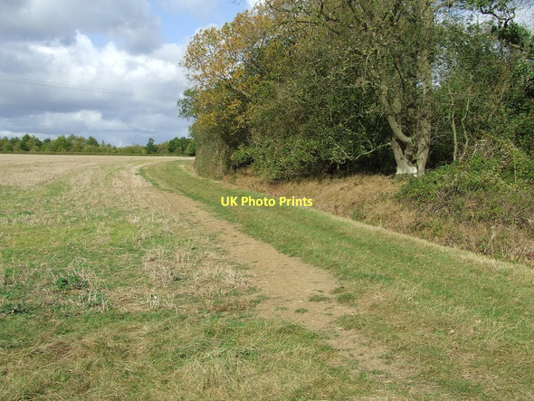 Photo 6"x4" Stour Valley Path Widgham Green c2011