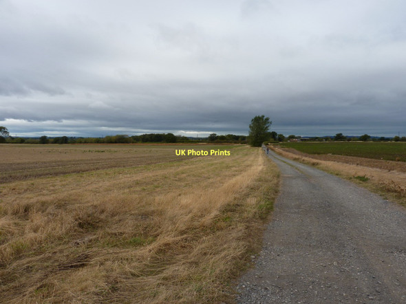 Photo 6"x4" The track towards Cheshire Coppice farm Allscott c2011