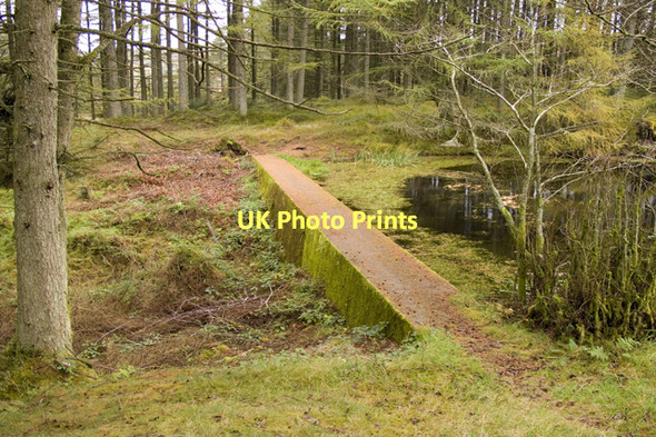 Photo 6"x4" Dam at Goosey Foot tarn Grizedale c2011