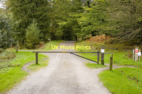 Photo 6"x4" Entrance to Grizedale Forest at Moor Top Roger Ground c2011