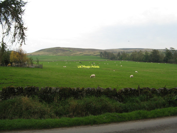 Photo 6"x4" View from Duchally Country Estate Muirton\/NN9211 c2011