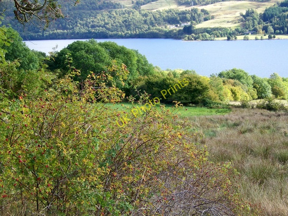 Photo 6"x4" Rough grazing, Loch Tummel Tressair c2009
