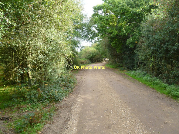 Photo 6"x4" Tiptoe, track Mead End\/SZ2698 c2011