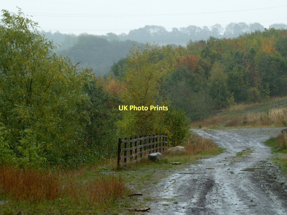 Photo 6"x4" Autumnal scene on the Stockley Trail Rylah c2011