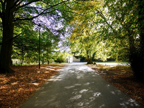 Photo 6"x4" Drive east of Hardwick Hall Sedgefield c2011