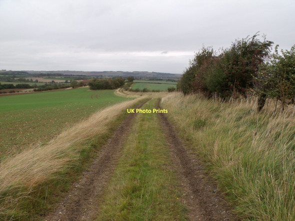 Photo 6"x4" Track to Ashby Puerorum Ashby Puerorum c2011