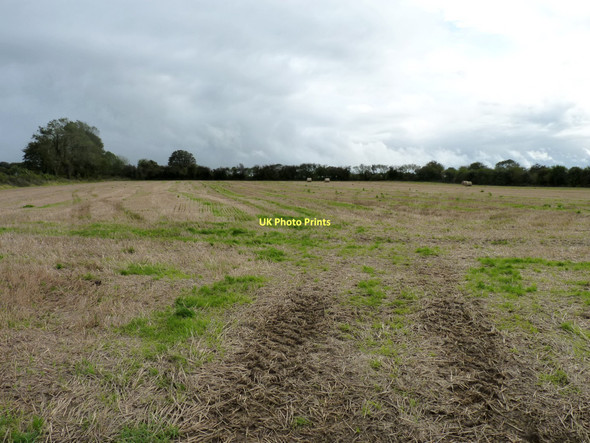 Photo 6"x4" Field of stubble Rathmore c2011