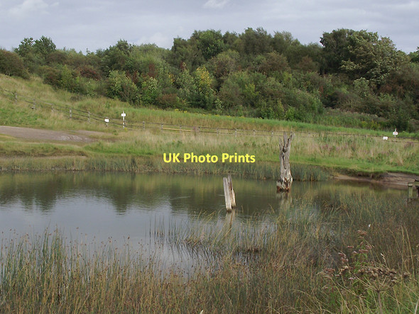 Photo 6"x4" Pool in Anderton Nature Park, Cheshire Northwich c2011