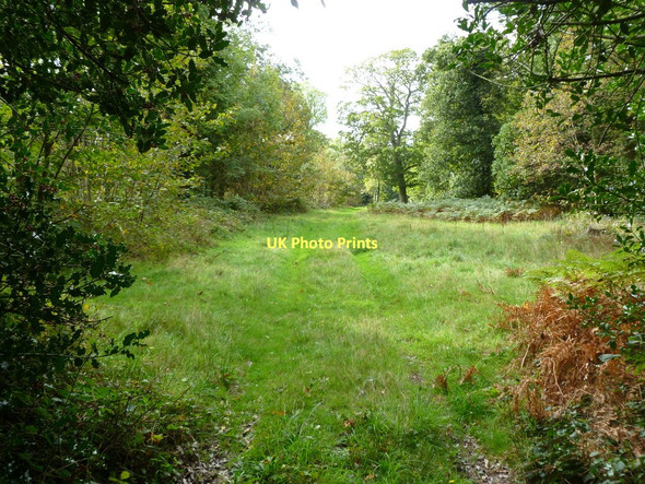 Photo 6"x4" Shirley, track North Ripley c2011