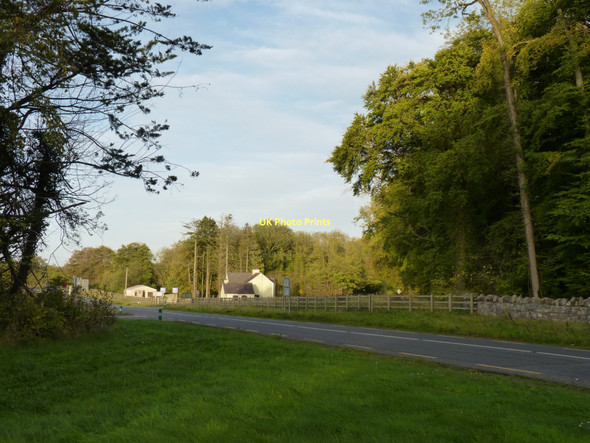 Photo 6"x4" Cottages in the trees Bective c2011
