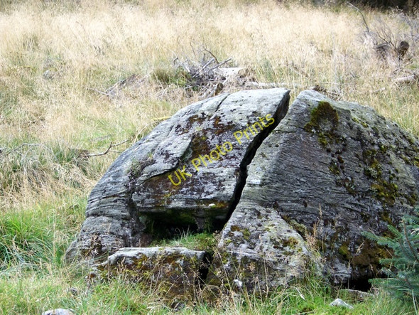 Photo 6"x4" Boulder, Glen Doll Forest Acharn\/NO2876 c2009