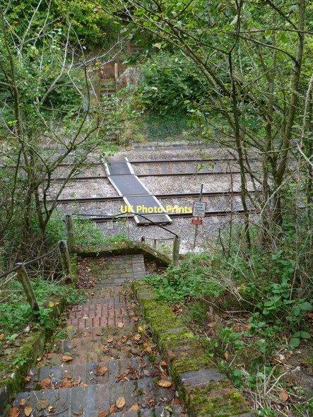 Photo 6"x4" Footpath crosses railway line north of Lynch (1) Foxdown c2011
