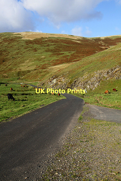 Photo 6"x4" The B711 Roberton to Tushielaw road Wardlaw\/NT2916 c2011