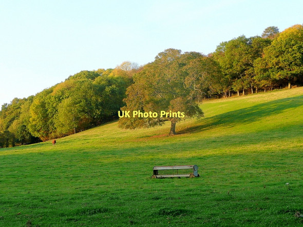Photo 6"x4" Autumnal pasture, near Hopeswood Park Boxbush\/SO6720 c2011