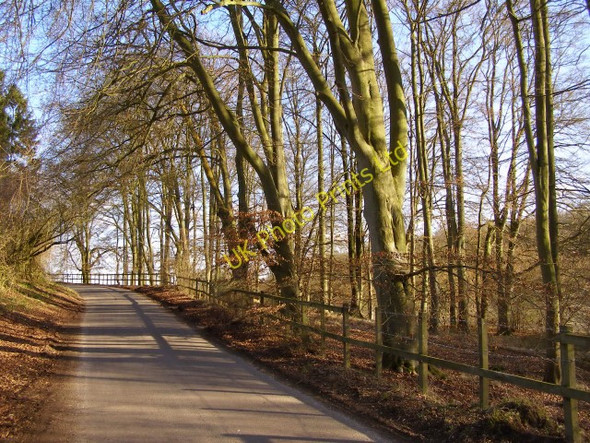 Photo 6"x4" The Middleway passing through the southern tip of Green's Copse Andover Down c2006