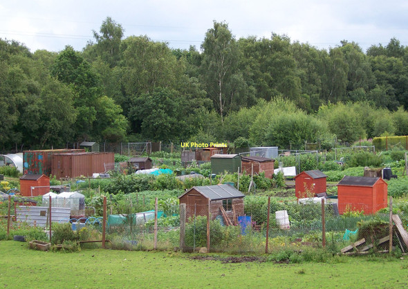 Photo 6"x4" Lamont Gardens Allotments Erskine c2010