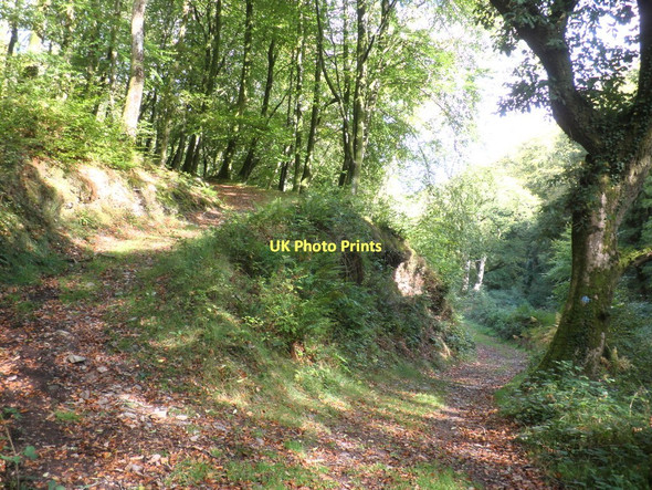 Photo 6"x4" Path junction, Hawkcombe Woods Porlock Weir c2011