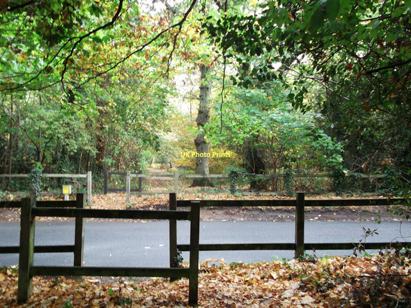 Photo 6"x4" Path crosses West Common Road Hayes\/TQ4066 c2011