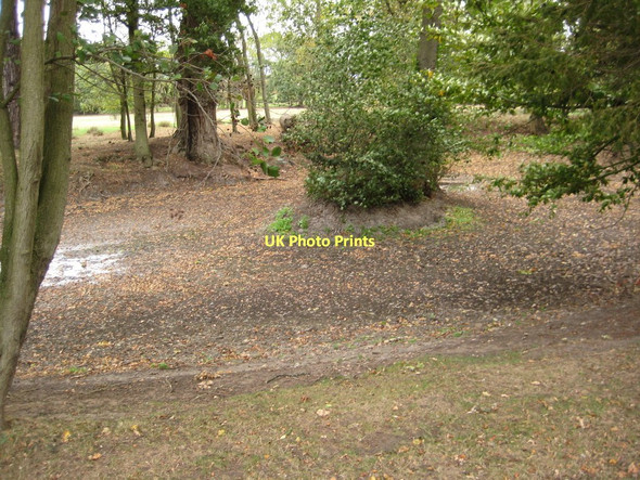 Photo 6"x4" Dried up pond at Kerswell Green Baynhall c2011