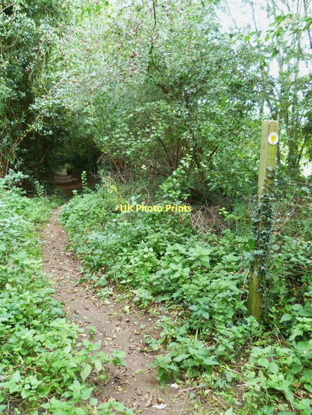Photo 6"x4" Footpath west of Overton Lynch\/SU5049 c2011