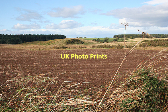 Photo 6"x4" Red Earth Whitemire\/NH9754 c2011