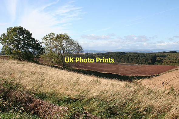 Photo 6"x4" Wester Golford Whitemire\/NH9754 c2011