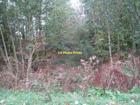 Photo 6"x4" The former Great Northern line to Honington Junction Lincoln c2011