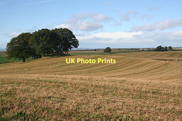 Photo 6"x4" Autumn Stripes Whitemire\/NH9754 c2011