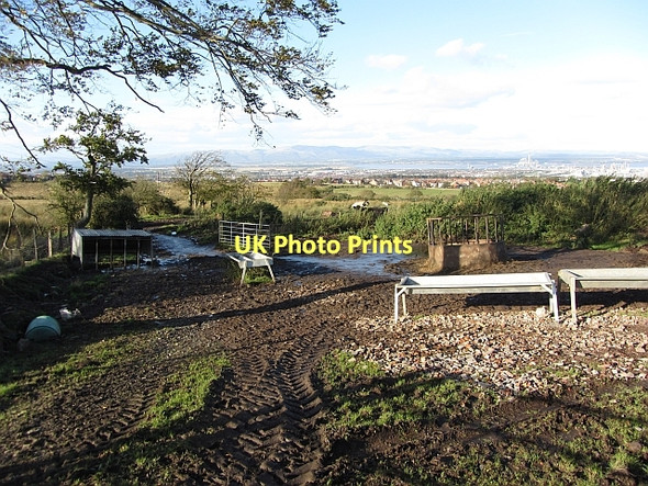 Photo 6"x4" Feeding area for cattle Brightons c2011