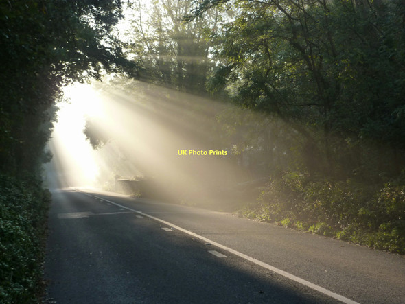 Photo 6"x4" Shafted light in the misty morning, Kennels Road, Lupton Lodge Churston Ferrers c2011