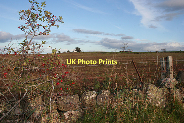 Photo 6"x4" Autumn Fields Whitemire\/NH9754 c2011