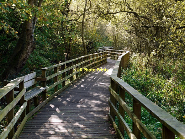Photo 6"x4" Board-walk through the Fen Carr, Hardwick Hall Country Park Sedgefield c2011